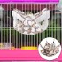 Small Animals Hammock, Soft Fleece Warm Rat Hammock Hanging Hammock Bed for Hamster, Ferret, Hedgehog, Squirrel and Small Animals